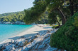 Rocks in a shade of a pine trees at morning, Kastani Mamma Mia beach, island of Skopelos, Greece