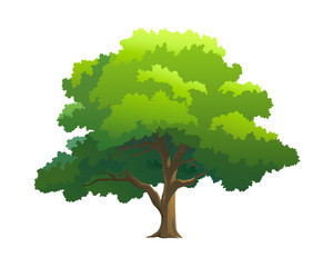 illustration tree for cartoon