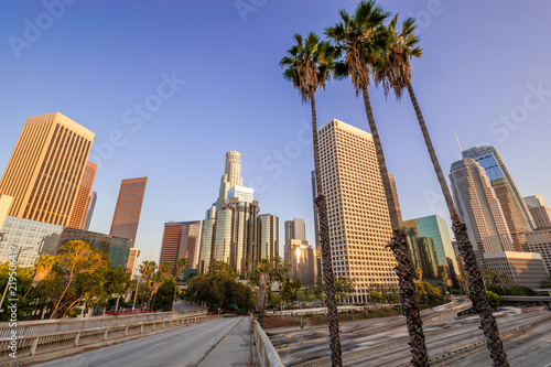 Fototapeta Los Angeles los-angeles-palmy-na-placu