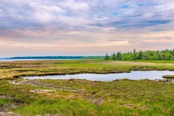 Wall Mural - View at the lagoon in National Park Kouchibouguac - Canada