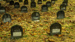 grave pattern inside cemetery