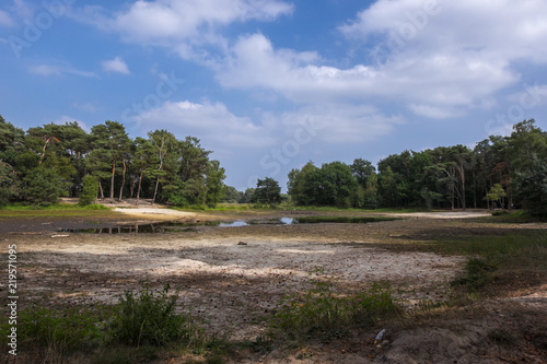 Zdjęcie XXL Wysuszony - out jezioro w rezerwacie przyrody Buurserzand, holandie