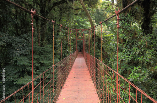 Obrazy most w dżungli  most-w-dzungli-costa-rica