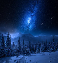 Wall Mural - tatras mountains in winter at night with falling stars, poland