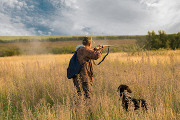 Wall Mural - Hunter with a German trotter and spaniel, hunting a pheasant with dogs