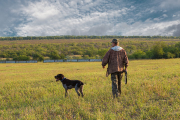 Hunter with a German trotter and spaniel, hunting a pheasant with dogs