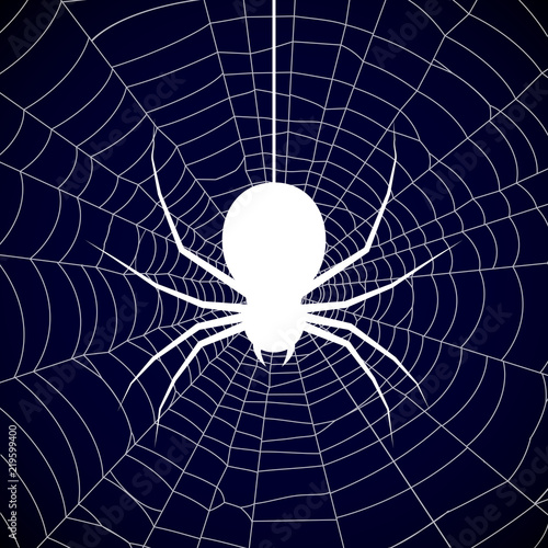 buy halloween spider web