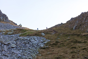 Wall Mural - trail en haute montagne du mercantour