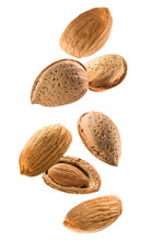 Almonds In Shell Isolated On A White Background