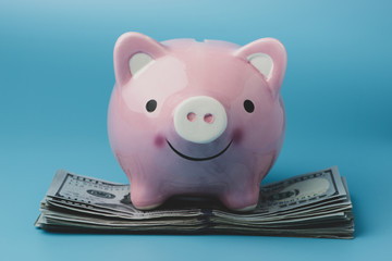 Piggy bank and money, concept for saving money.