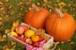 © Yuliya - Autumn harvest .Autumn abundance. large pumpkins,box with apples, physalis, chestnuts and yellow leaves on a lawn in warm sunlight.Autumn mood in warm tones.