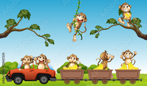 Monkey family on the car