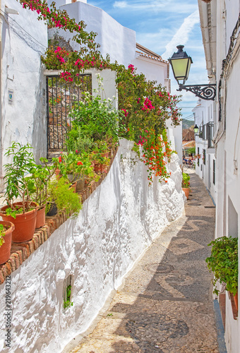 Plakaty uliczka z kwiatami   stare-miasto-frigiliana-hiszpania
