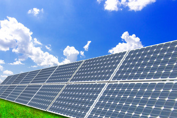 Wall Mural - Solar power panels on vast grasslands