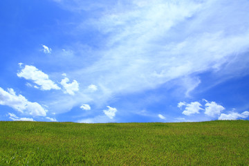 Green field under a blue sky