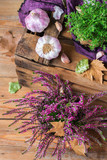 Fototapeta  - Fall autumn decorative festive thanksgiving background with fresh purple garlic
