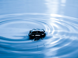 Wall Mural - close up drop of water on blue background