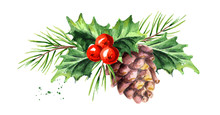 Christmas And New Year Symbol Decorative Holly Berry With Pine Cone And Branch Composition. Watercolor Hand Drawn Illustration, Isolated On White Background
