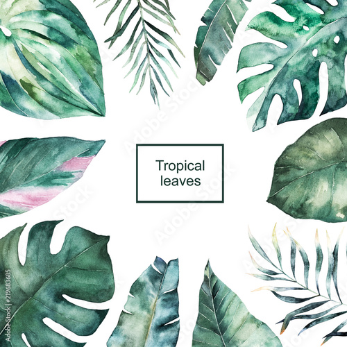 Summer colorful frame with tropical palm leaves. Watercolor hand drawn illust...