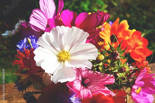 Grußkarte - fröhlich bunter Wildblumenstrauß