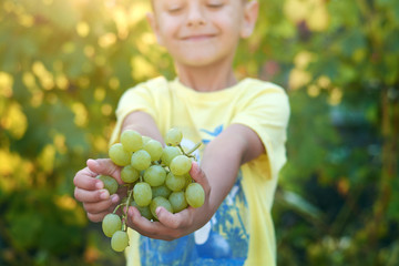 the boy is holding the grapes