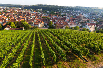 Wall Mural - historic town esslingen germany on the neckar river