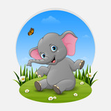 Fototapeta Pokój dzieciecy - Cartoon baby elephant posing on the grass