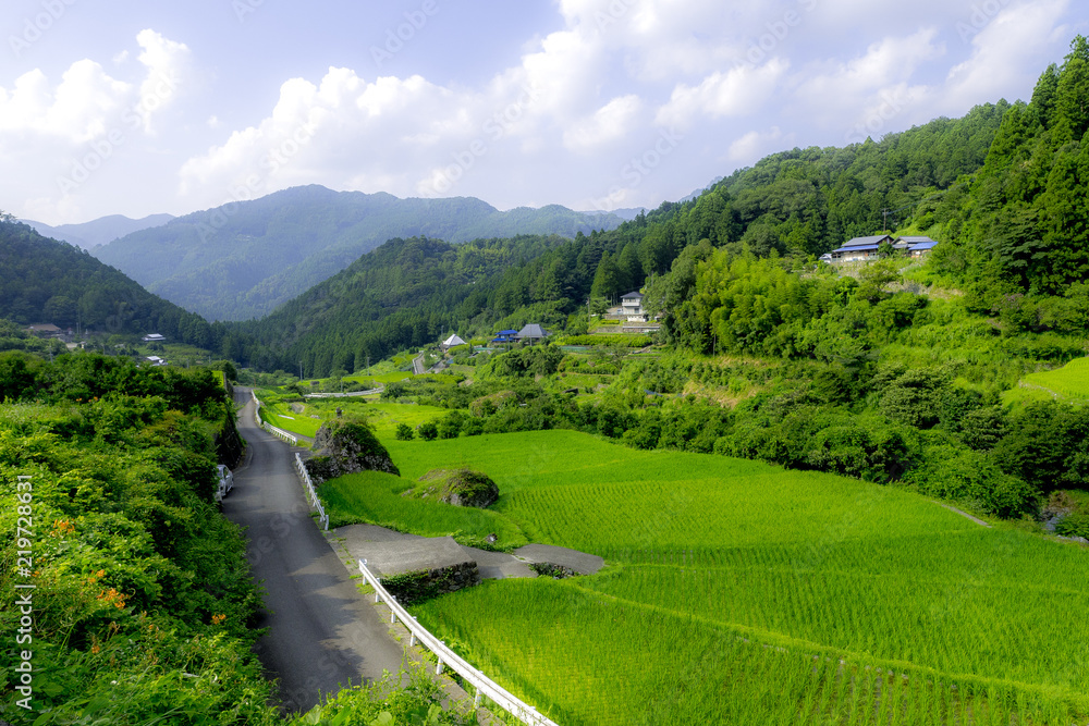 風景画 自然の田舎風景 日本の夏の田舎の風景、自然と田んぼ Stock Photo | Adobe Stock