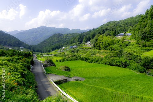 日本の夏の田舎の風景 自然と田んぼ Stock Photo Adobe Stock 日本の夏の田舎の風景 自然と田んぼ Stock Photo Adobe Stock