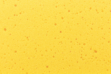 yellow sponge texture background