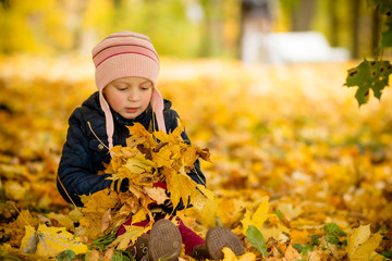 Wall Mural - Sitting young girl playfully thrown away over his head colored maple leaves. Cute child having fun in autumn park. I love autumn. Colorful fall season concept. Hello autumn. Happy childhood.