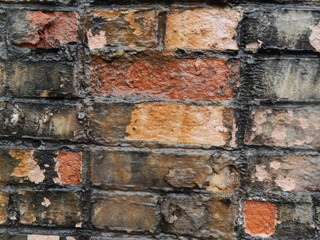 Old wet wall of red brick in multi-colored mold, background