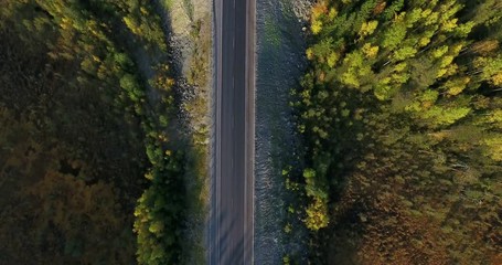 Wall Mural - Top view at northern highway in autumn coniferous forest. Vehicles driving on road. Drone flying above