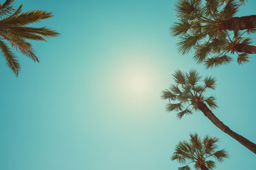 Wall Mural - Palm trees vintage color toned summer hot day perspective view with copy space