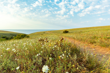 Wall Mural - blue sky and beautiful cloud. plain landscape background
