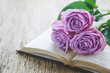 Close up of violet purple rose flowers and opened book with vintage tone