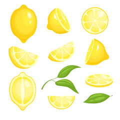 Sticker - Fresh lemons collection. Yellow sliced citrus fruits with green leaf for lemonade. Vector isolated cartoon pictures of lemons. Lemon citrus food, fresh fruit juicy illustration