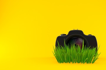 Wall Mural - Camera on grass