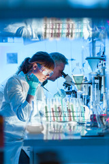health care researchers working in life science laboratory. young female research scientist and seni