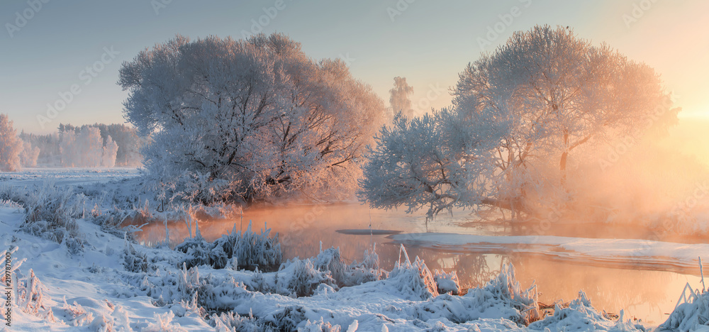 Winter landscape - obrazy, fototapety, plakaty 