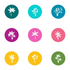 Wall Mural - Flower day icons set. Flat set of 9 flower day vector icons for web isolated on white background