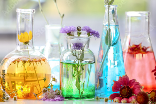 Flasks with plants on table in laboratory