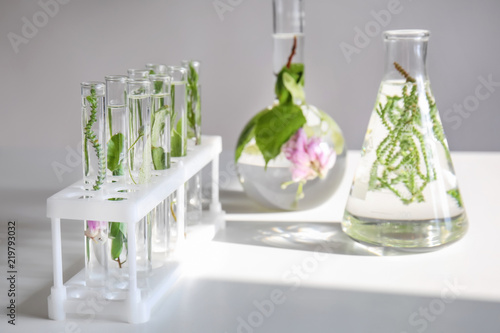 Glassware with plants on table