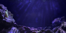 Underwater Ocean Background Deep Blue Sea