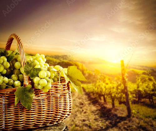 grapes-fruits-and-autumn-time