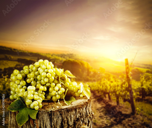 grapes-fruits-and-autumn-time