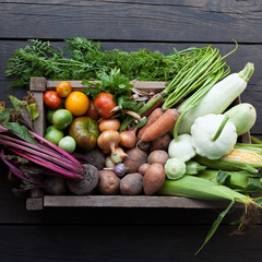 Autumn harvest background, healthy food.