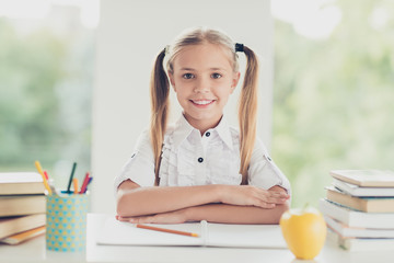 Sticker - Back to school concept. Close up photo portrait of pretty sweet clever lovely dreamy stylish cute with toothy beaming smile pigtails blonde hair sitting at desk looking at camera