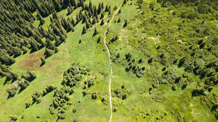 Aerial view of the footpath in the Carpathian Mountains