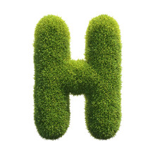 Grass Font 3d Rendering Letter H
